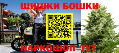 хмурый Гай